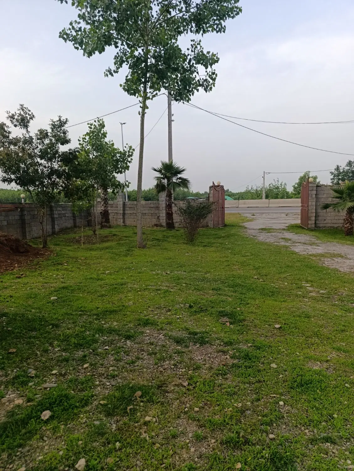 اجاره مغازه زمین ۱۴۰۰ متری مخصوص کافه