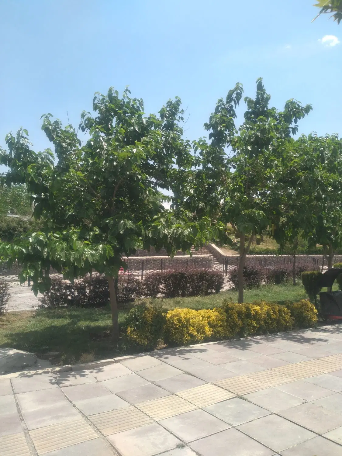 زمین ۱۴۵۰ متری مسکونی پردیس