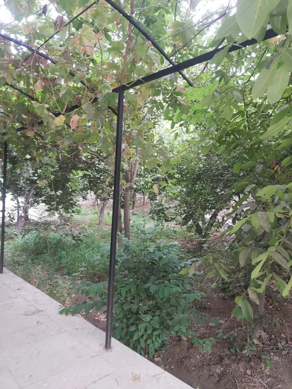 زمین ۱۳۵متری