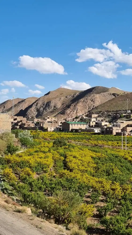 زمین قطعه پشت حاشیه جاده شاندیز