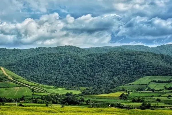زمین باغی