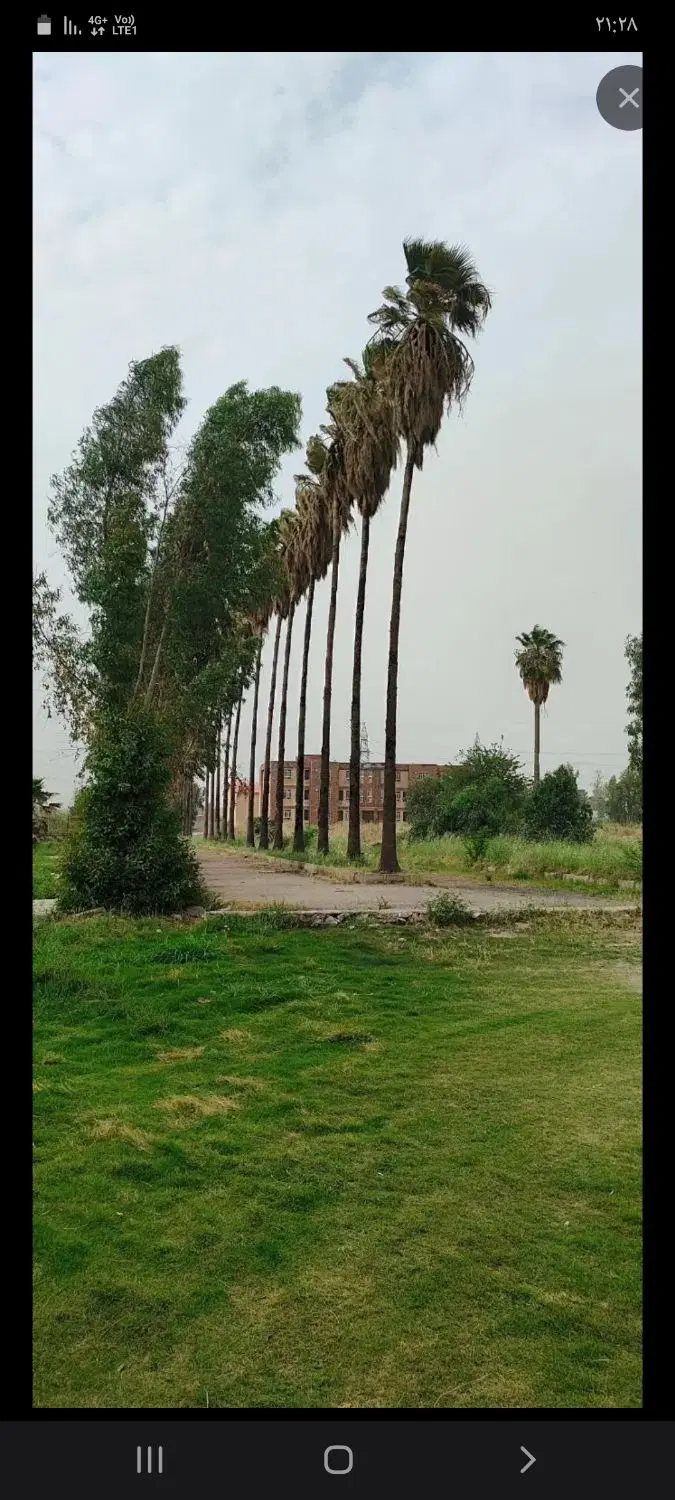 زمین مسکونی