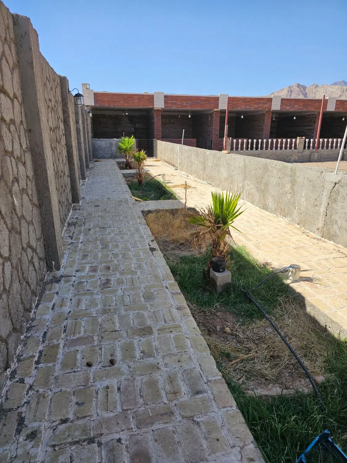 باشگاه پرورش اسب فوق شیک