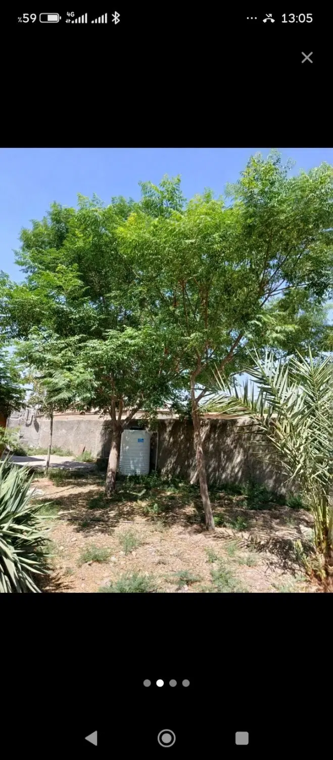 زمین خیابان شهید محمود اخلاقی