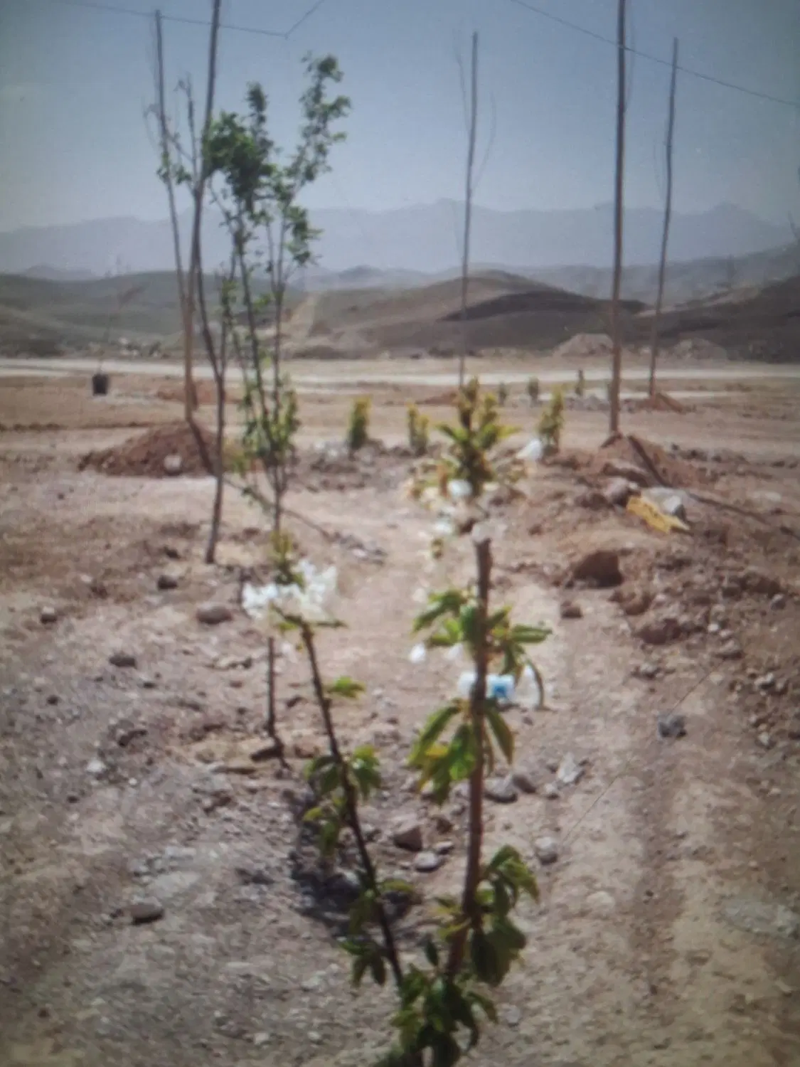 فروش زمین ۲۰۰ متری فاز ۶ اصطلک