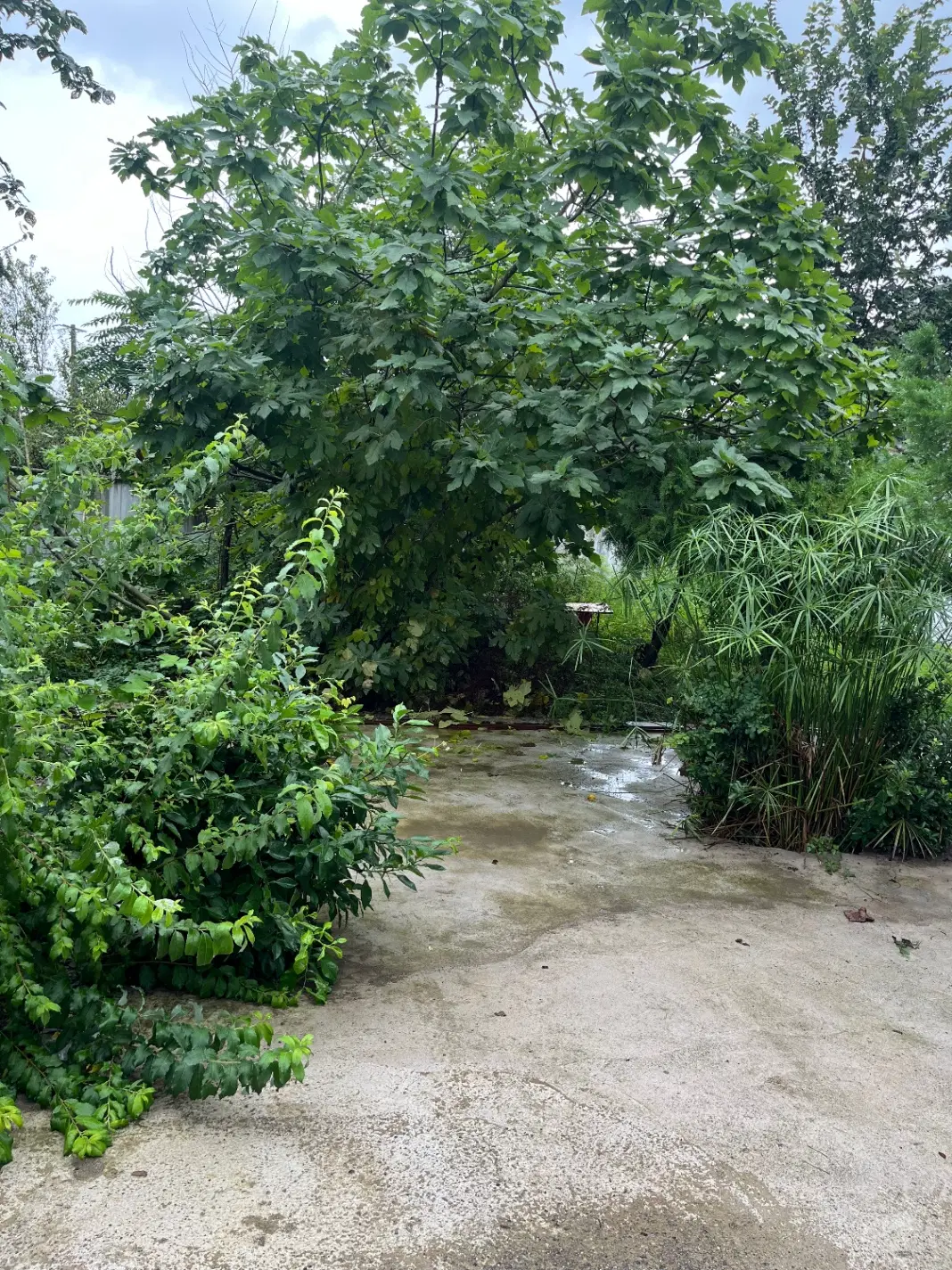 اجاره  خانه ویلایی