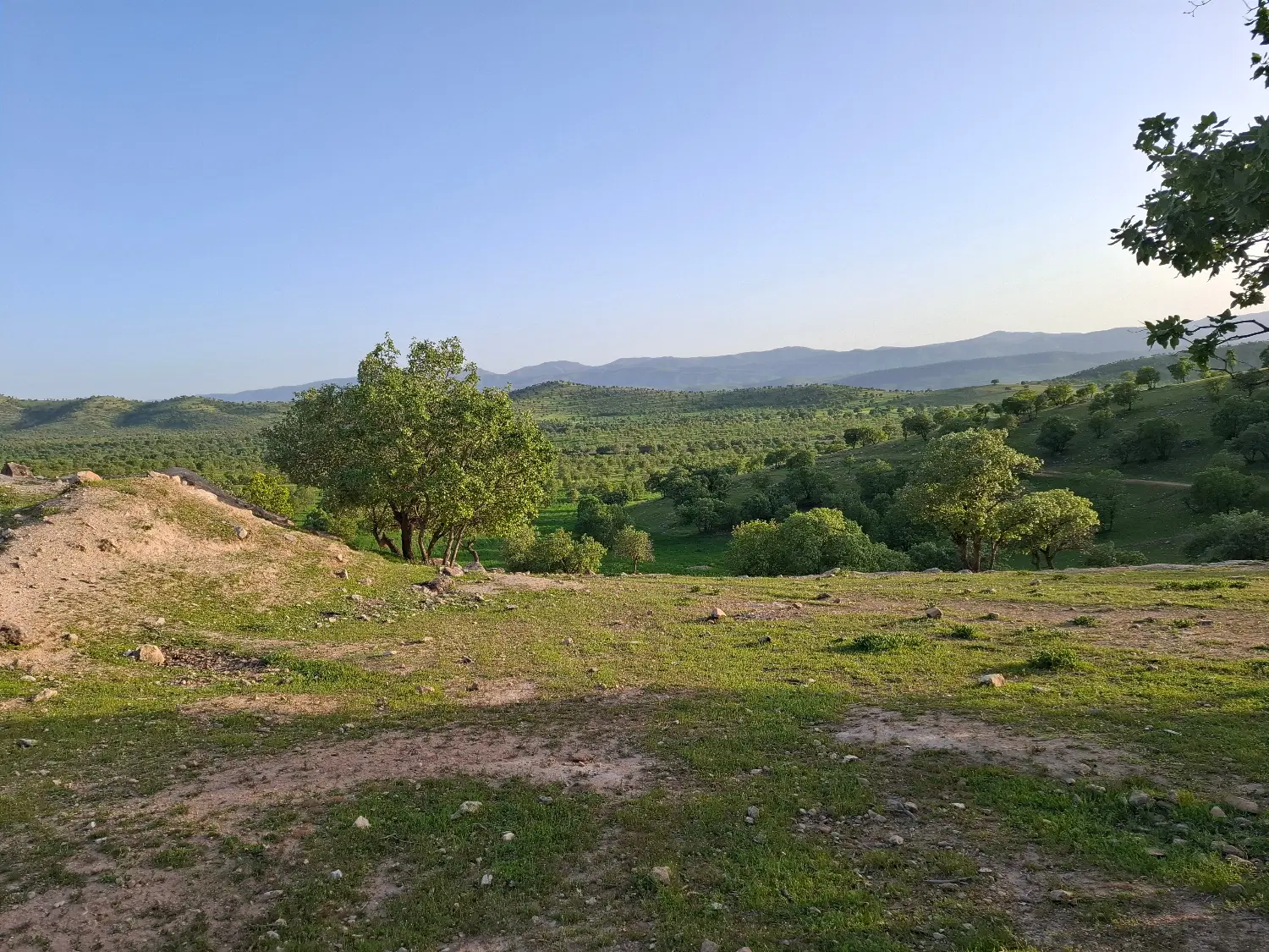 باغ ویلا ۱۰۰۰متری دانشگاه آزاد