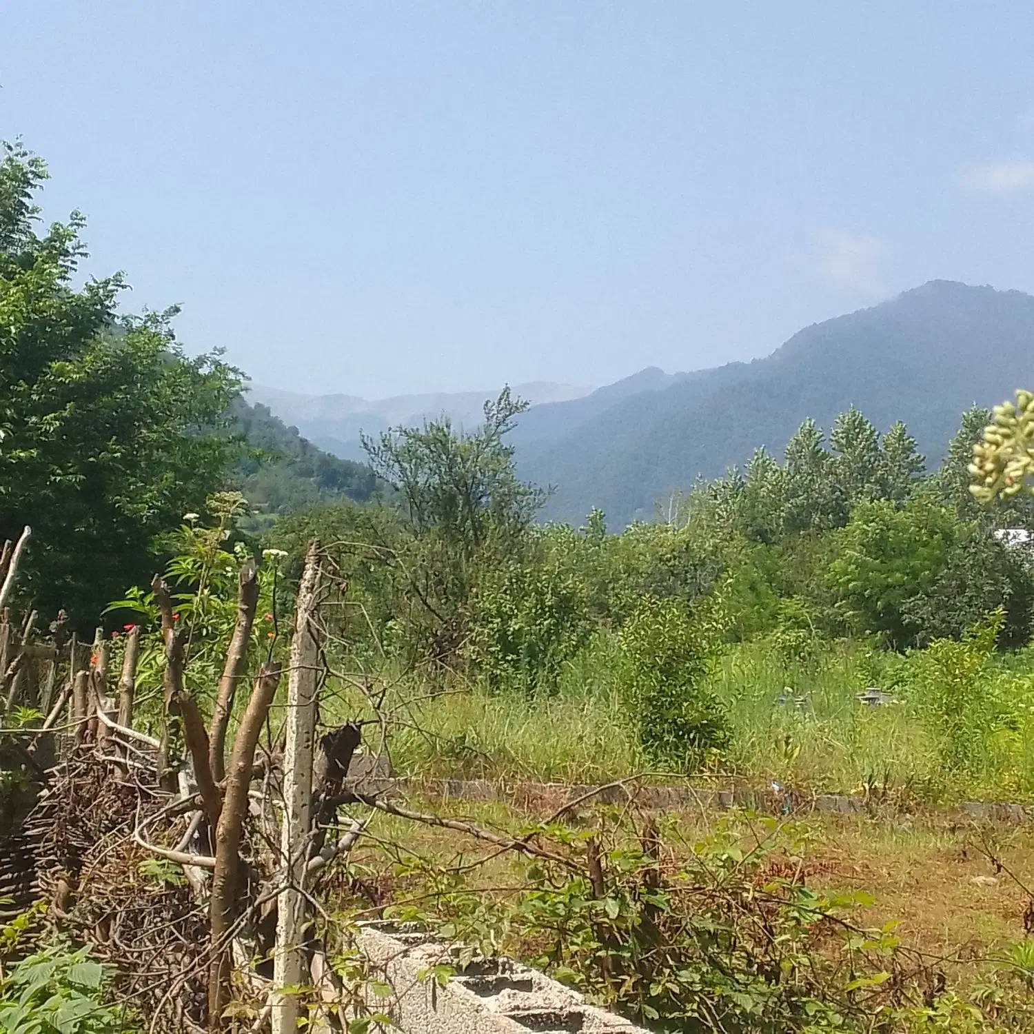 زمین کلنگی