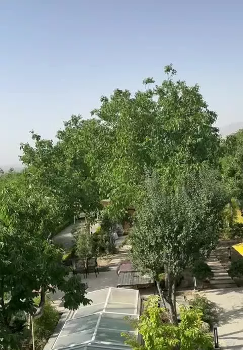 فروشی فوری