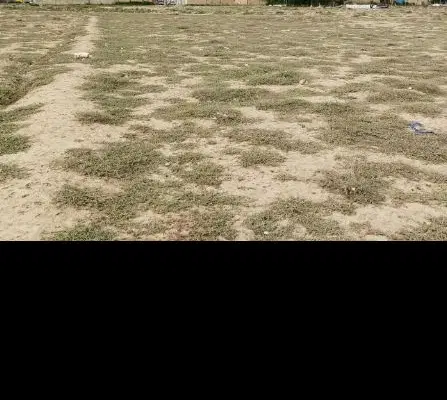 135 متر زمین رحمت آباد