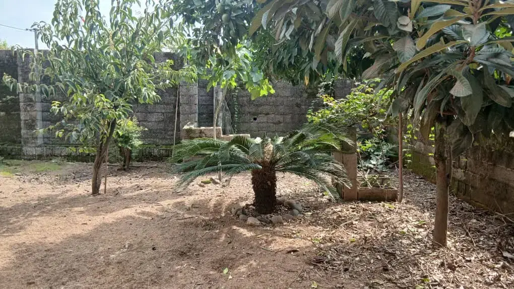 اجاره و فروش کارخانه برنجکوبی با سند تجاری مسکونی