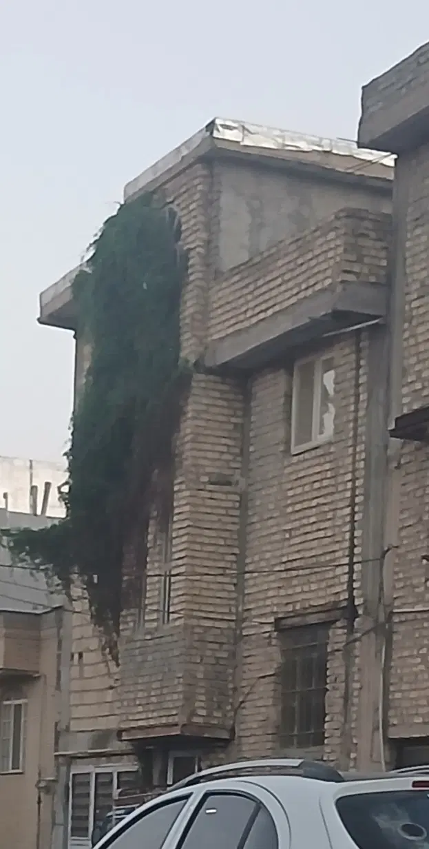 قابل توجع مستاجران مواظب سرما خود باشید