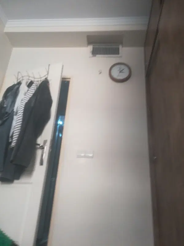 همخانه