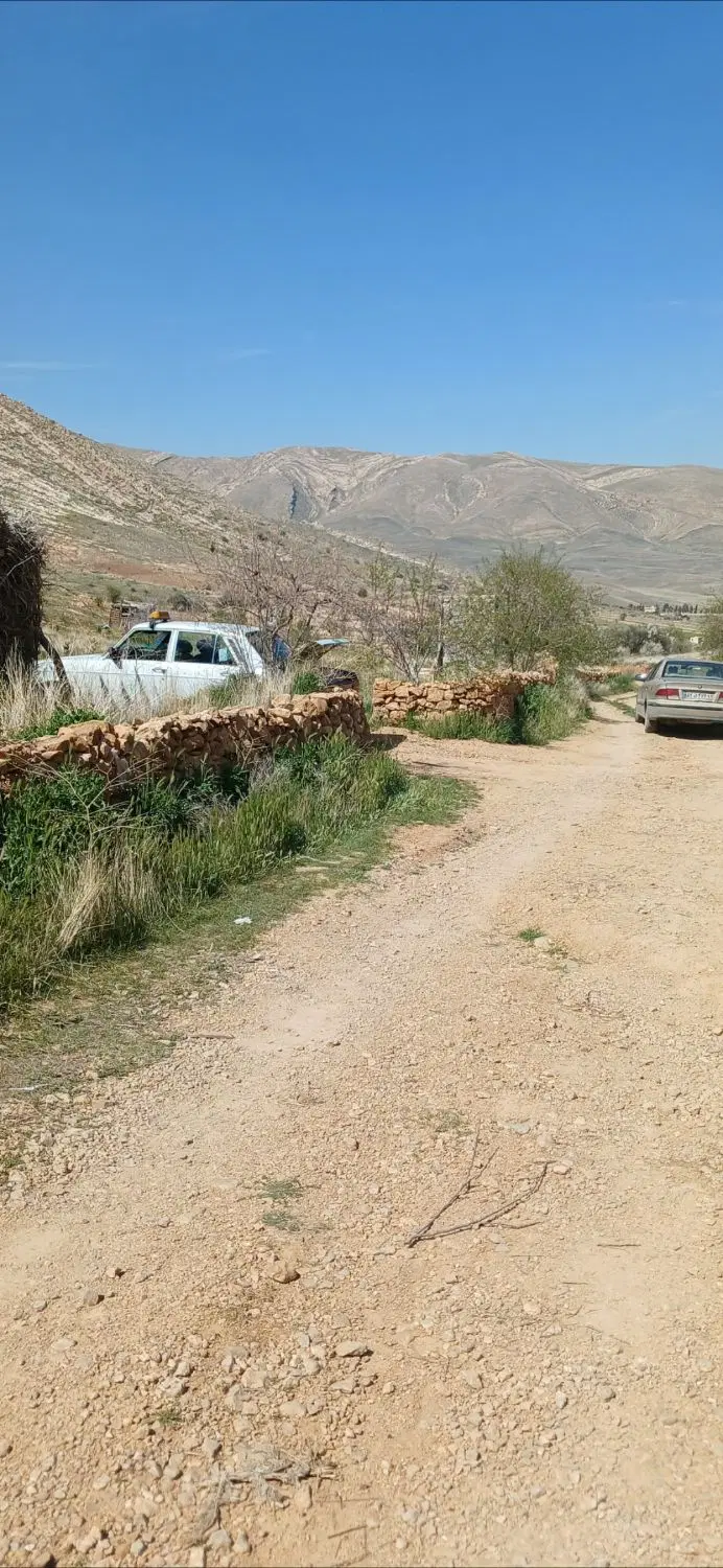 باغ انگو یاقوتی ۵۰۰متر