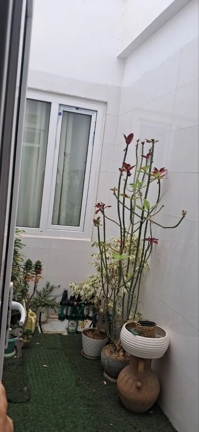 واگذاری مغازه میوفروشی با وسایل