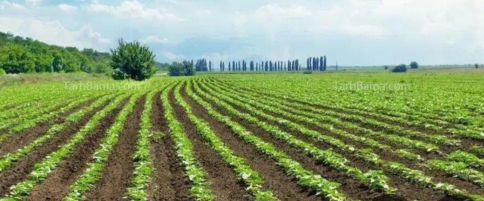 زمین فتح آباد