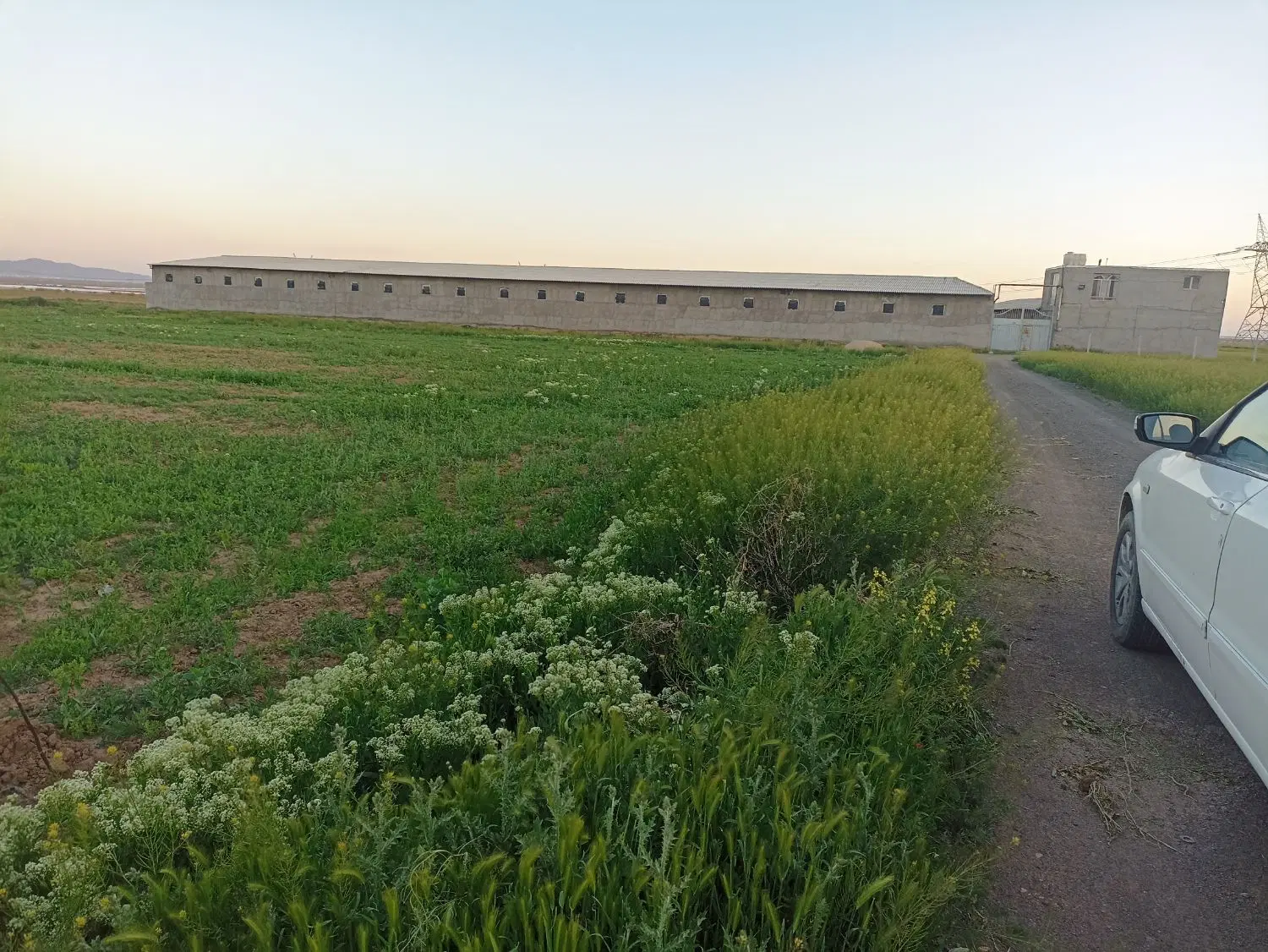 زمین بر جاده