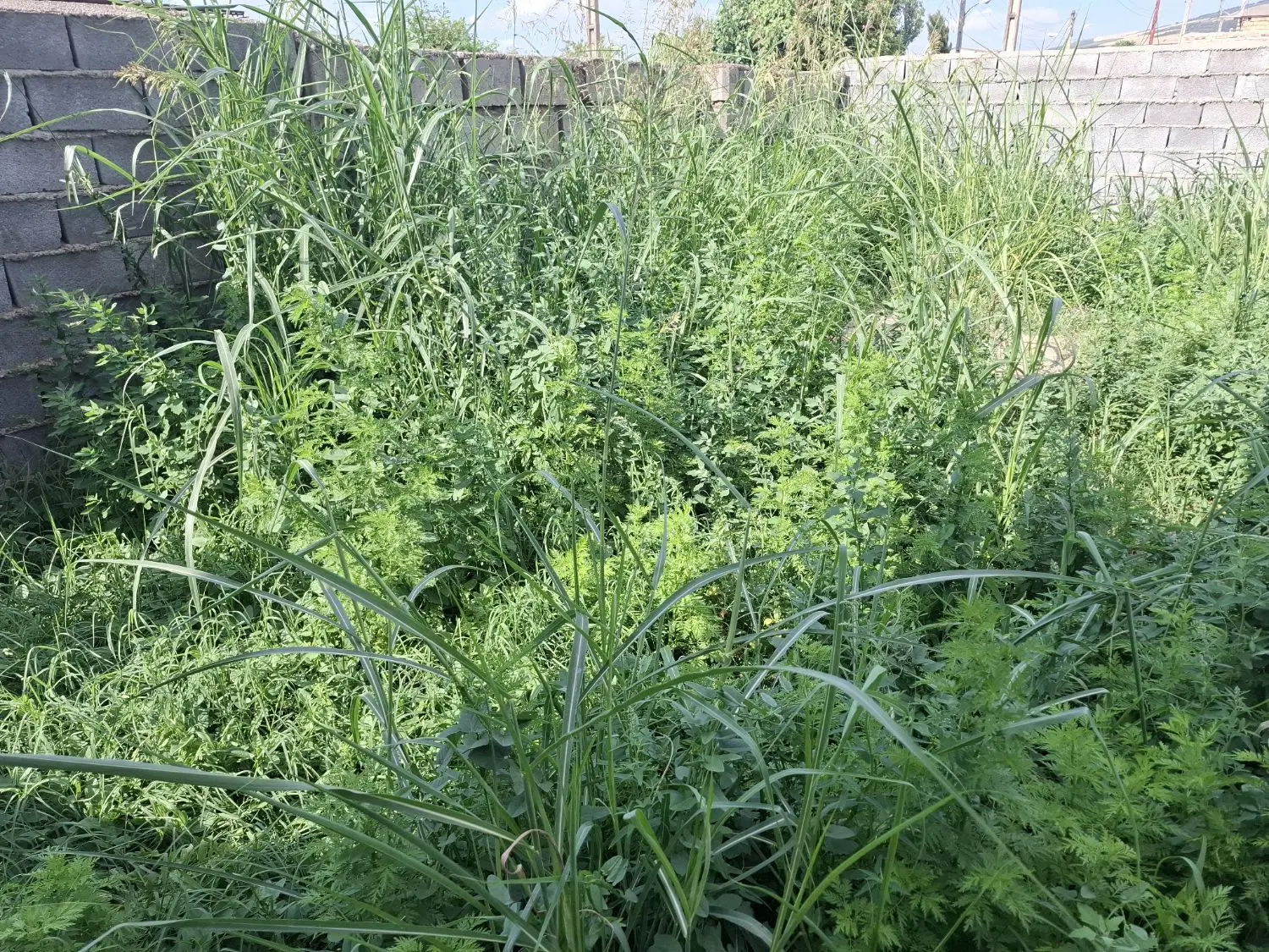 زمین مسکونی  سند دار