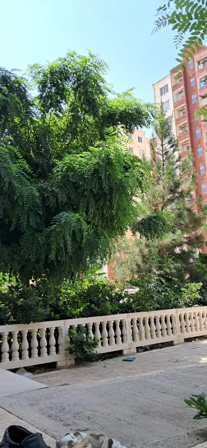 اجاره آپارتمان