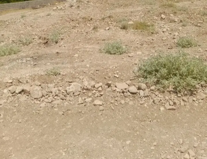 فروش و معاوضه زمین