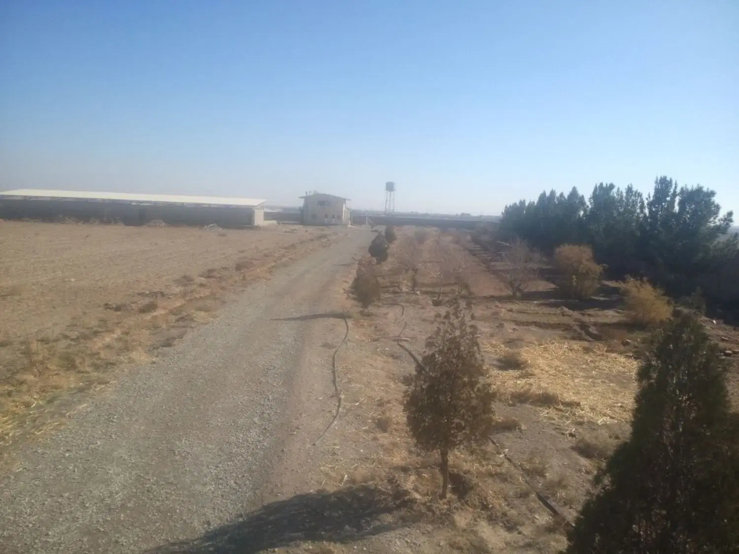 اجاره دامداری ۱۰۰ راسی با همه مجوزهای قانونی