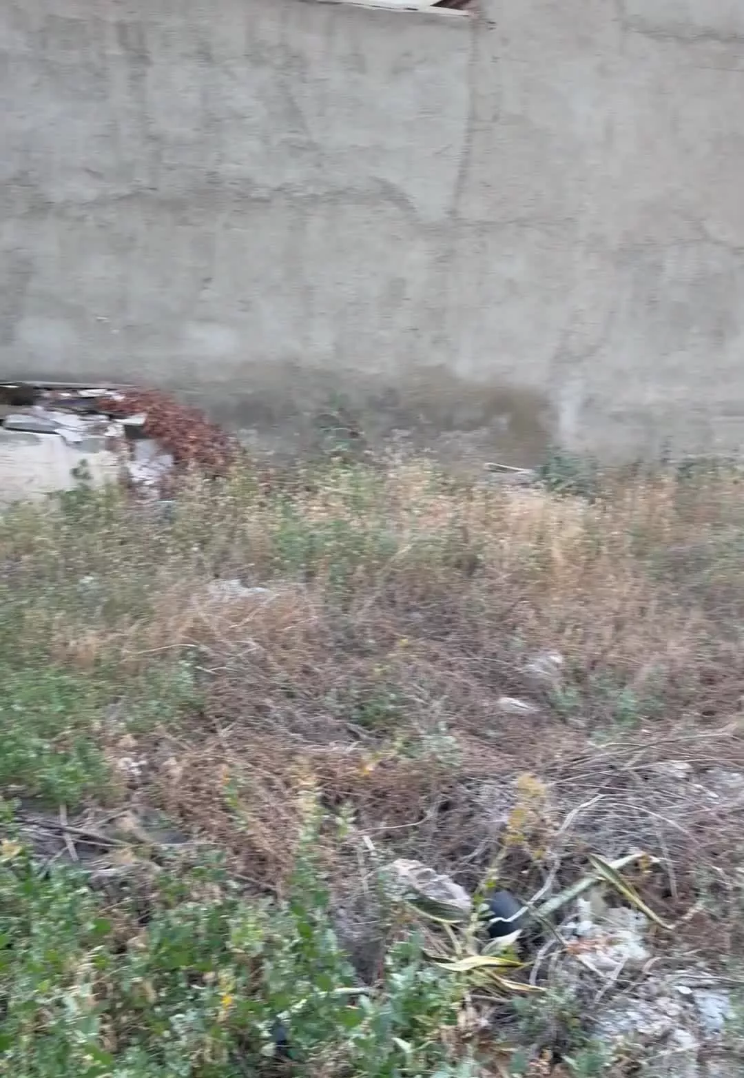 فروش قطعه زمین ۶دانگ