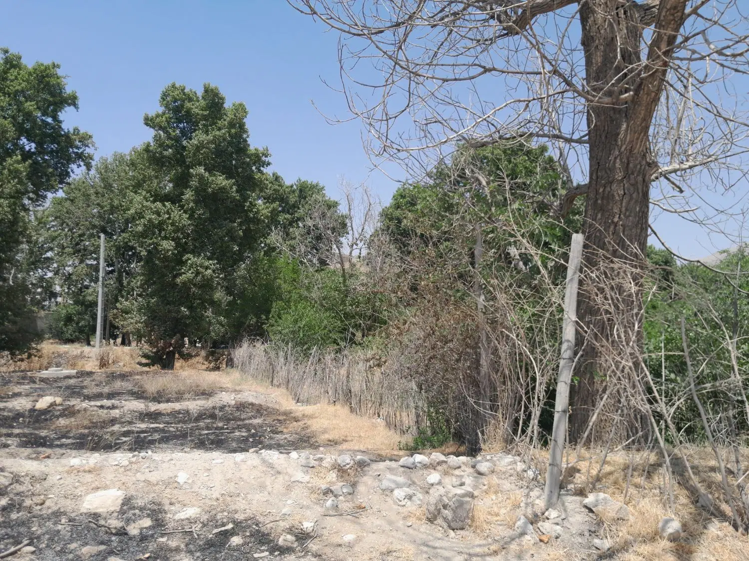 فروش باغ با خانه یا بدون خانه