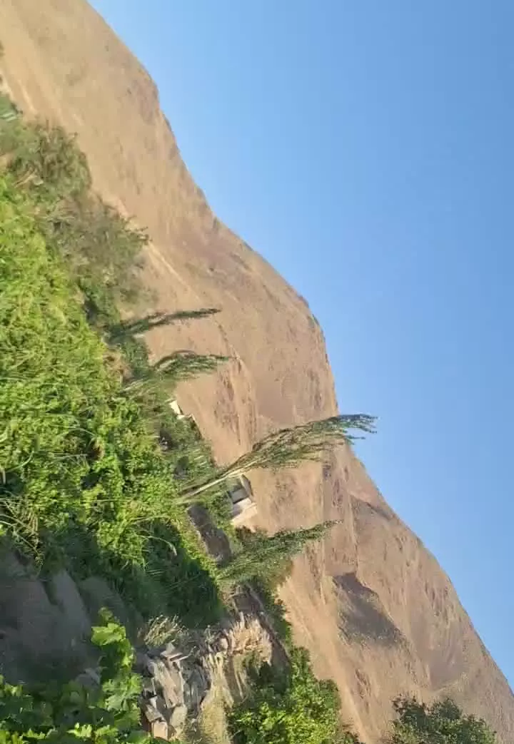 باغ انگور در انجیرک