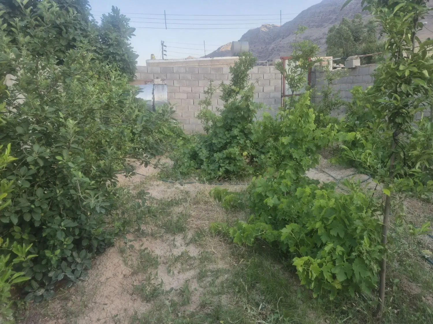 فروش منزل باغ ویلا