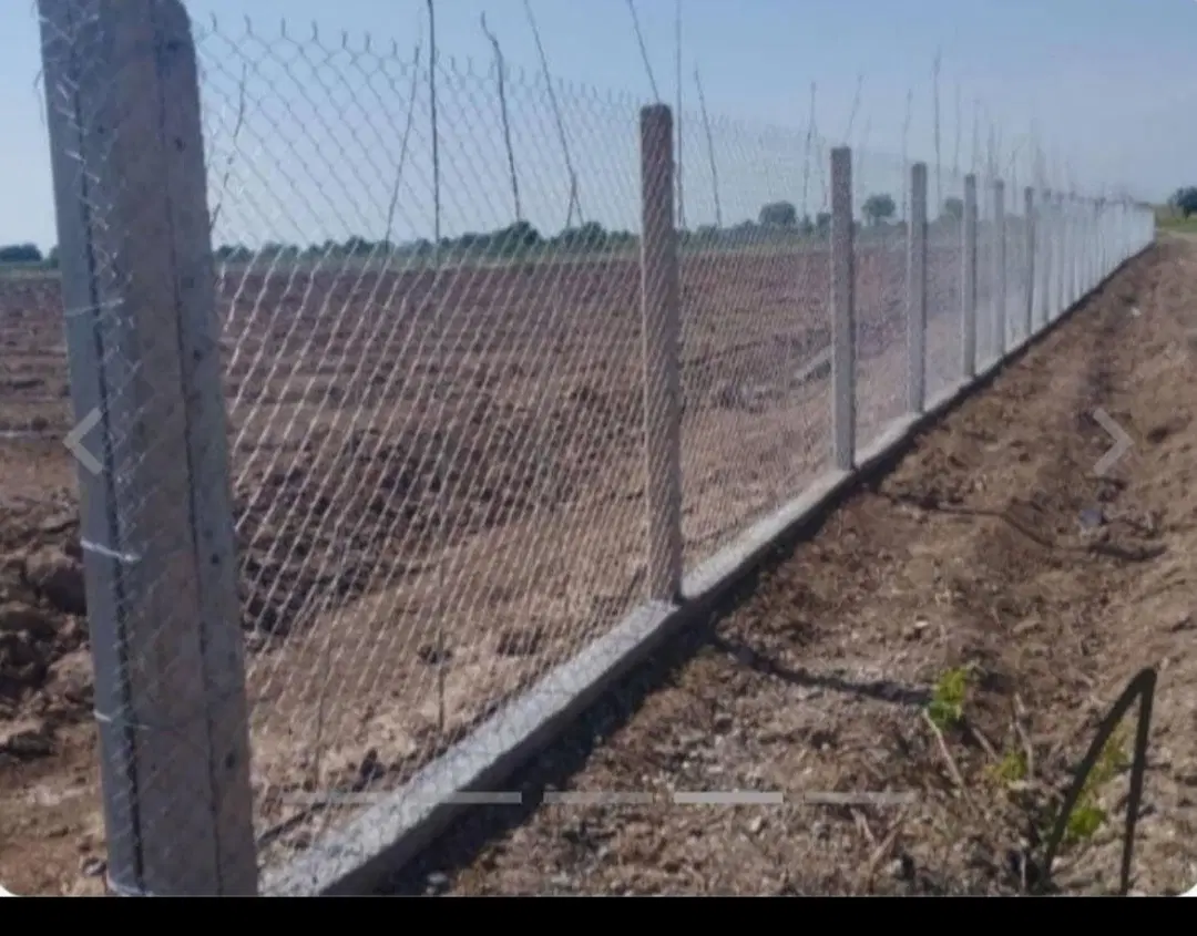 باغچه ۸۰۰متری در محمود اباد نمونه