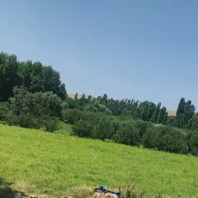 باغ به متراژ 1400متر بر جاده با یک ساعت حق آبه