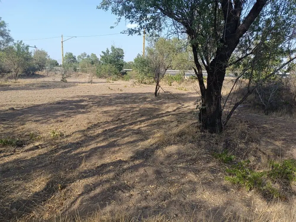 باغ سنتی نسیم شمال