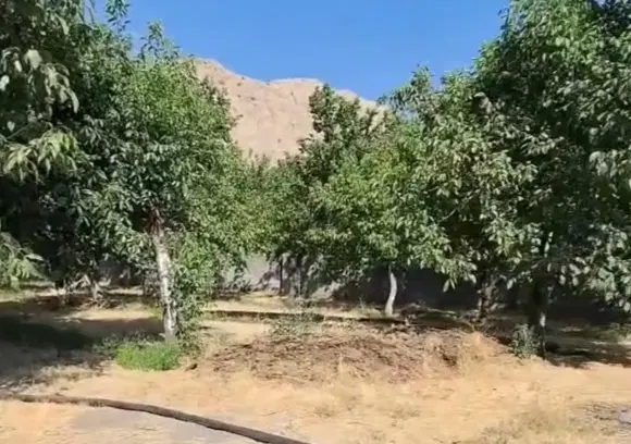 فروش باغ