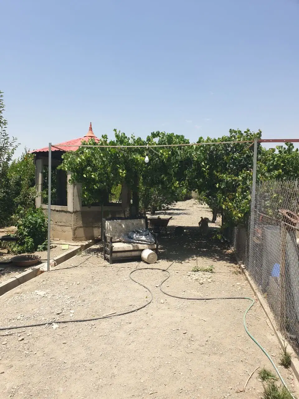 باغ ۱۵۰۰ متری میوه در کرج