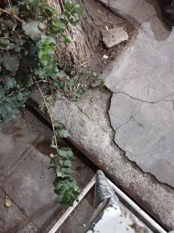 زمین کشاورزی