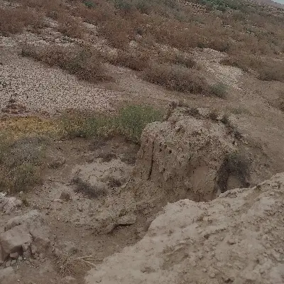 زمین