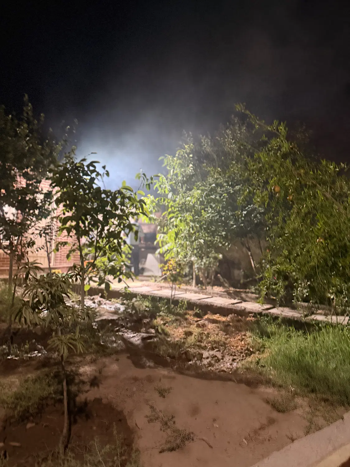 زمین باغی و باغچه