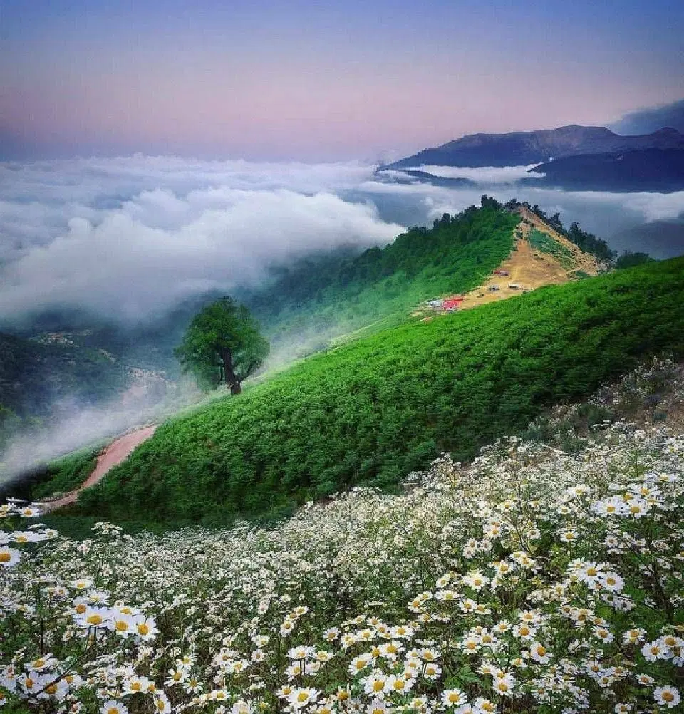 باغ جوزدان