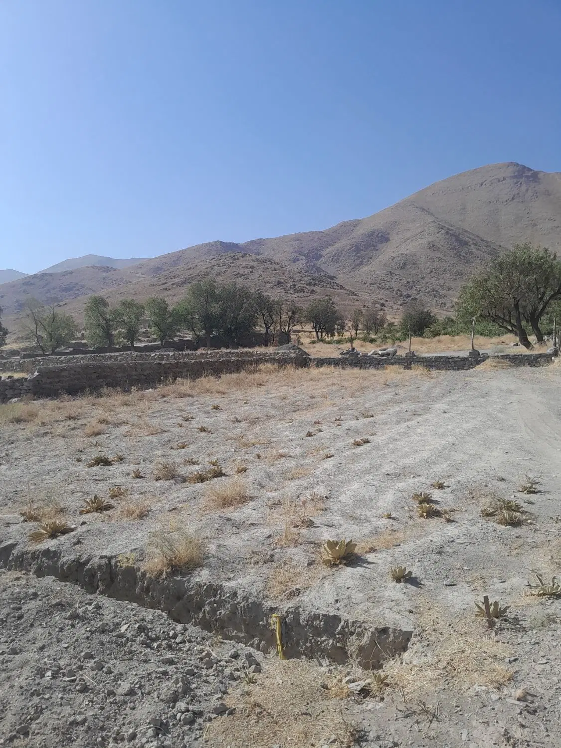 زمین‌فروشی