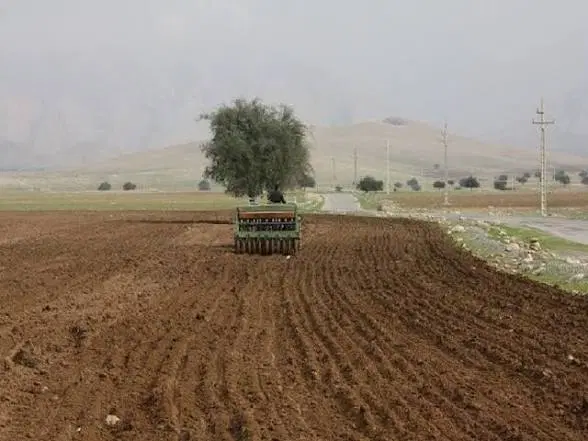 اجاره زمین دیم