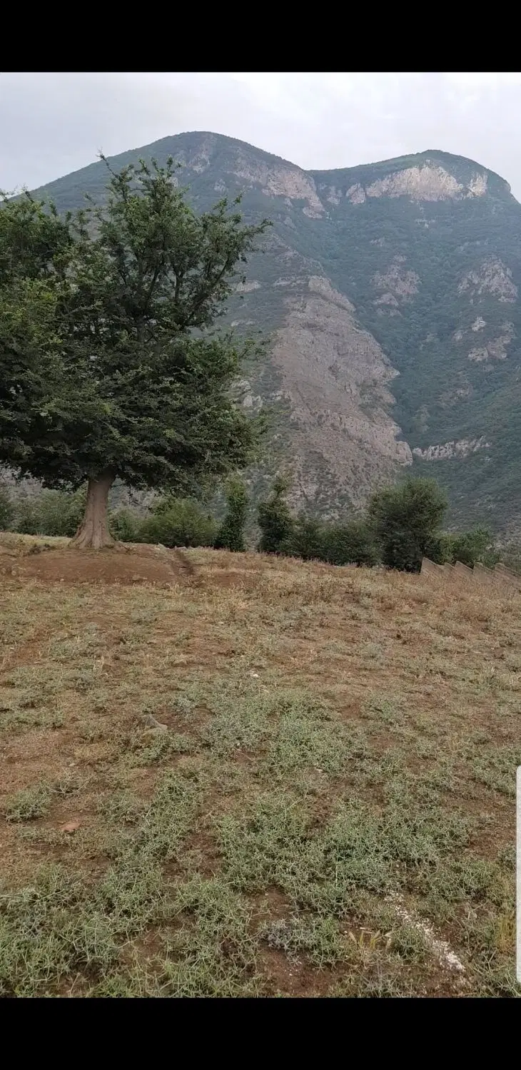 قطعه زمین ۲۴۵متر در طویرفوری فروشی