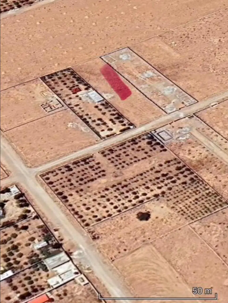زمین باغی خالداباد