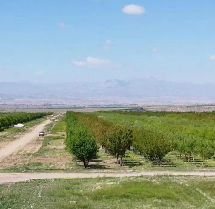 باغشهر شرکت تلاش (قطعه طلایی)