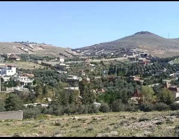 فروش فوری زمین دشت کوه