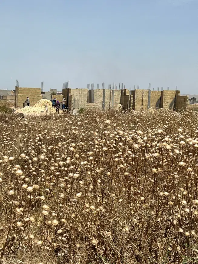 زمین مسکونی