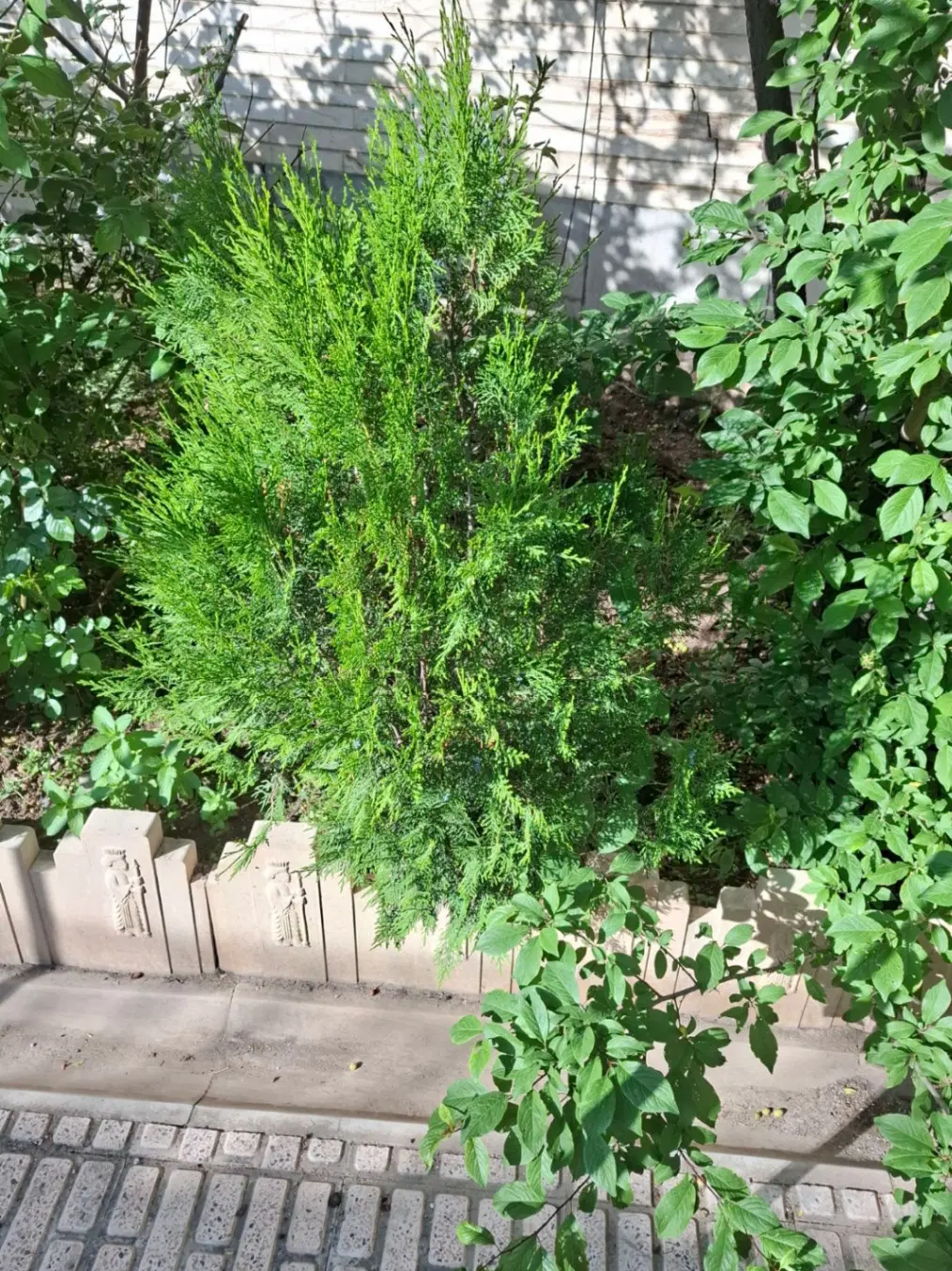خانه ویلایی