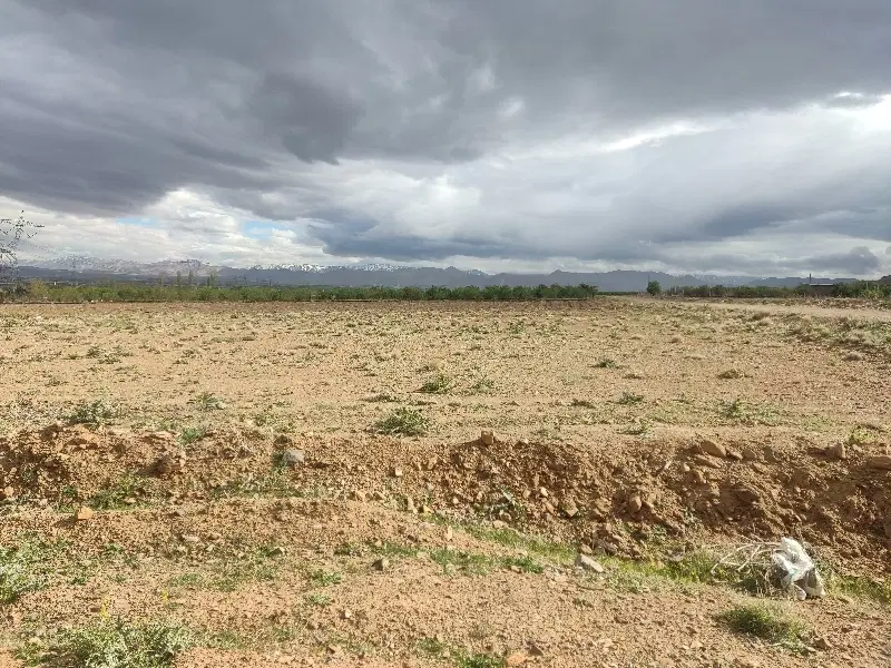 زمین کشاورزی