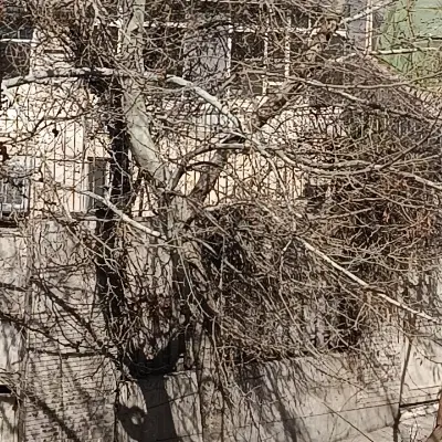 زمین قلعه سنگی