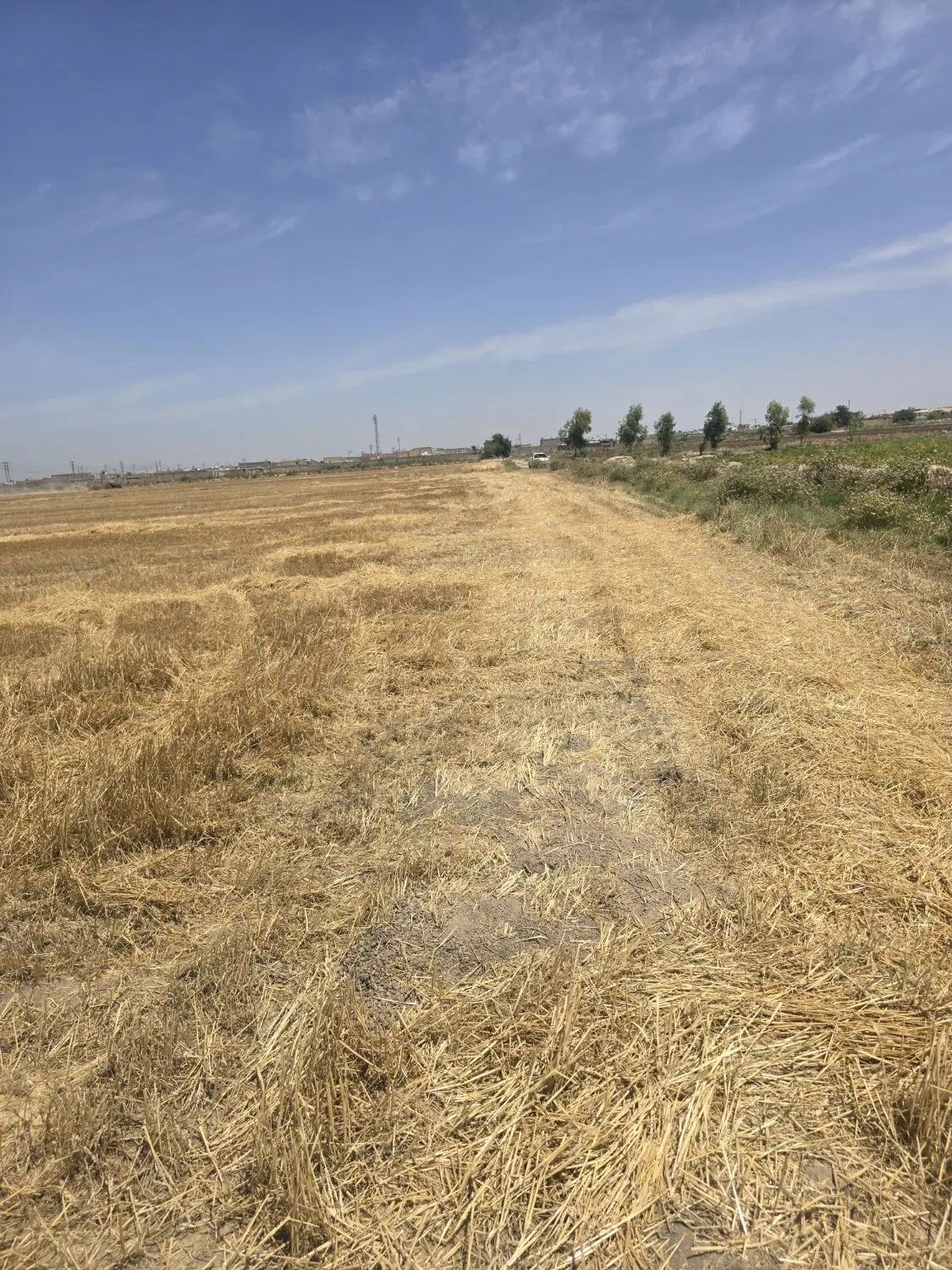 فروش زمین 1000متری جهت دامداری