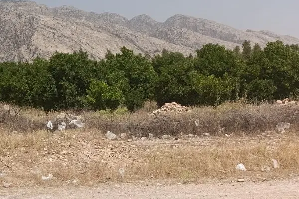فروش زمین